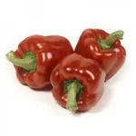 Фото Мазурка РЦ F1 / Mazurka RZ F1