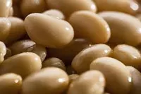 Фото Купуємо квасолю на переробку, консервування.