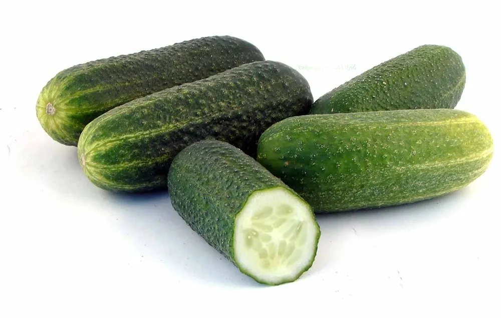 Отелло F1 / Othello F1