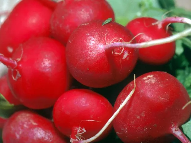 Редис Дунганський