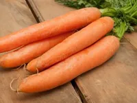 Фото Нандрін F1 / Nandrin F1