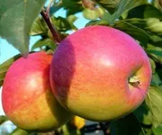 Фото Даринка