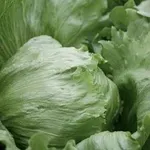 Фото Платинас РЦ / Platinas RZ