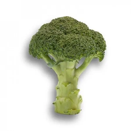 Агасі РЦ F1 / Agassi RZ F1