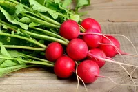 Фото Чаріто F1 / Charito F1