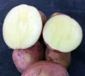 Фото Злагода