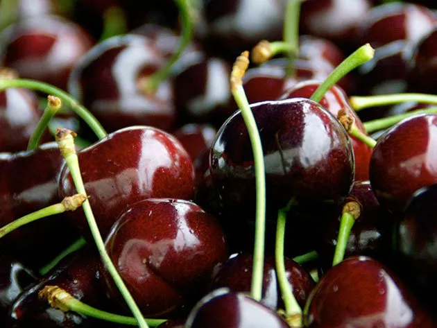 Черешня Зодіак