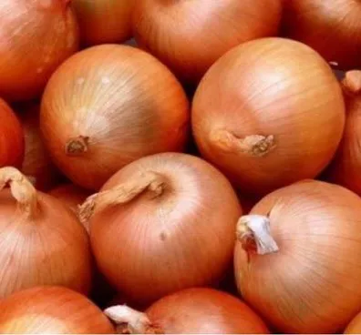 Байрам / Bayram