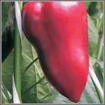 Фото Нафаня