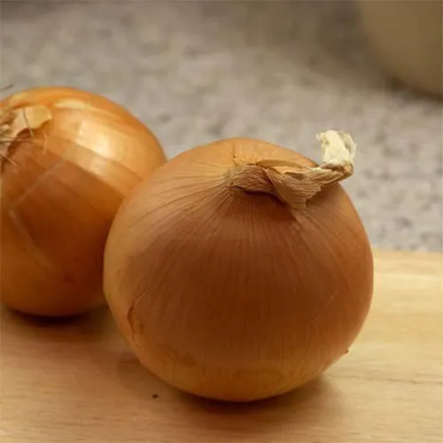 Бургос F1 / Burgos F1