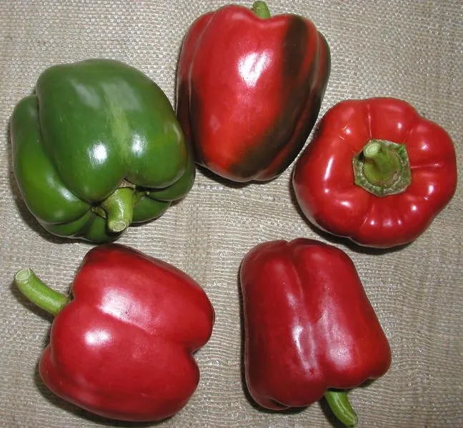 Рубіка F1 / Rubika F1