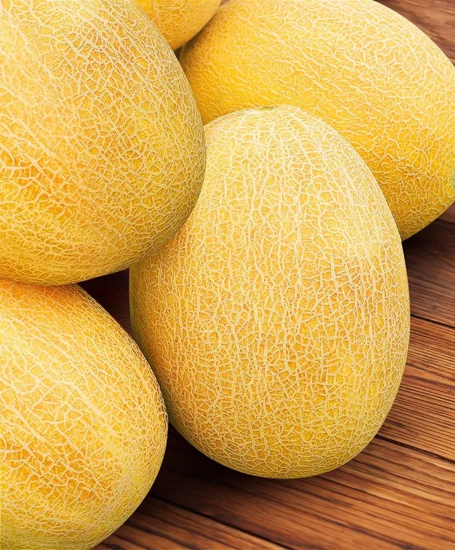 Саміт F1 / Samit F1