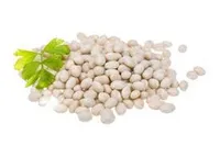 Фото Купуємо білу та кольорову квасолю. Заберемо своїм транспортом