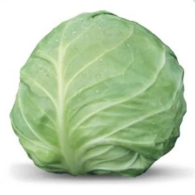 Акіра F1 / Akira F1