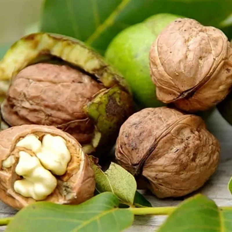 Клишківський