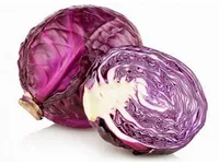 Фото Кіото F1