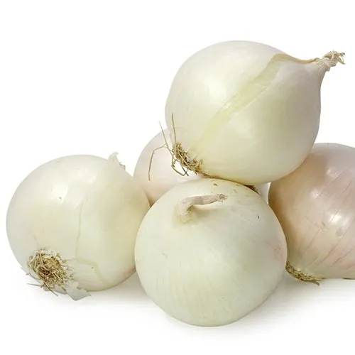 Толука F1 / Toluca F1