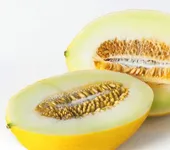 Фото Криничанка