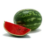 Фото Одіссей F1