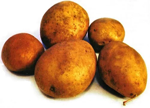 Овація | Owacja