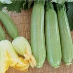 Фото Біллі F1