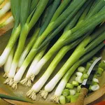 Фото Легіонер