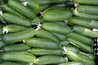 Фото Заначка F1