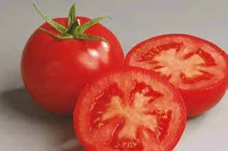 Кабинет F1 / Cabinet F1