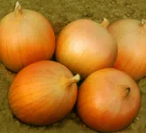 Фото Валенсіана