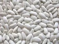 Фото Купуємо оптом квасолю різних сортів на переробку, консервування