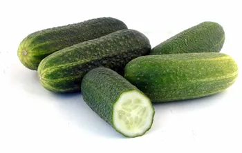 Сорти огірків Отелло F1 / Othello F1