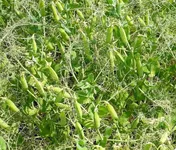 Фото Мадонна