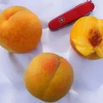 Фото ДИТИНА ЗОЛОТО 6