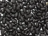 Фото Пропонуємо квасолю від виробника у великих обсягах різних сортів.