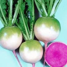 Місато Роуз Флеш