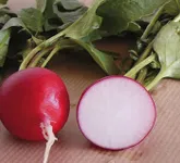 Фото Шахрі / Shahri