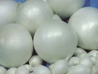 Фото Альбіон F1