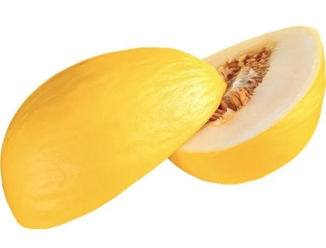 Агасі F1 / Agasi F1