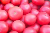 Фото Фаворит F1