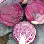 Фото Ред Дінасті F1 / Red Dynasty F1