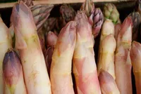 Фото Технологія вирощування спаржі