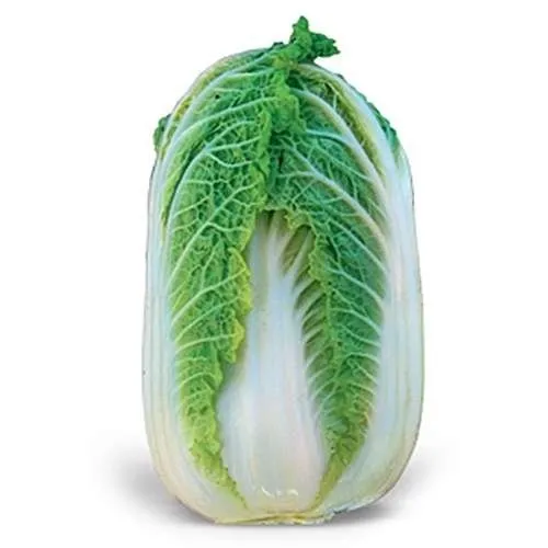 Зена F1 / Zena F1