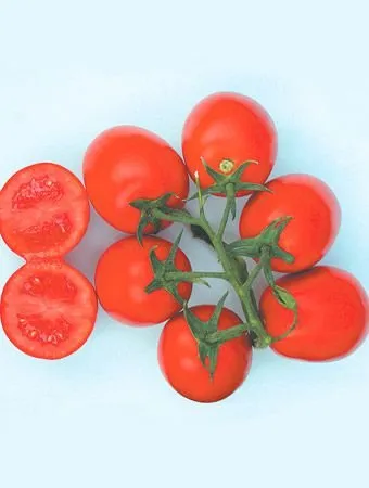 Прогресс F1 / Progress F1