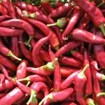 Фото Годонінська / Hodoninska