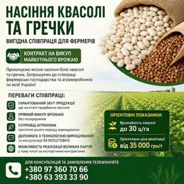 Насіння квасолі та гречки. Гарантія викупу врожаю