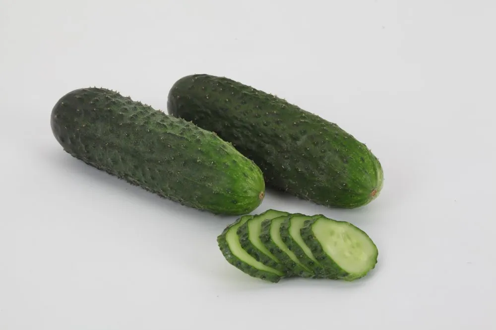 Гайдн F1 / Haydn F1