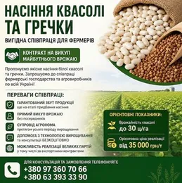 Реалізуємо насіння білої квасолі та гречки
