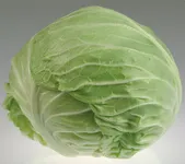 Фото Грандслам F1 / Grandslam F1