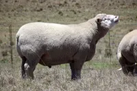 Фото Іль де Франс (Ile de France)