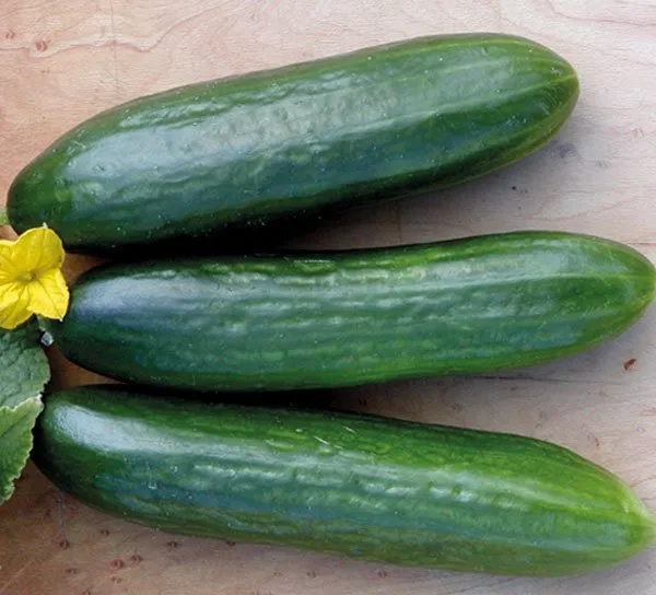 Аль-Біруні F1